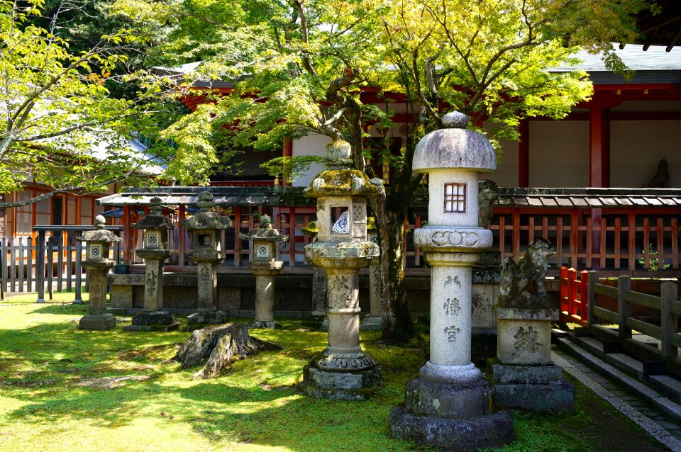 The scenery temple maple