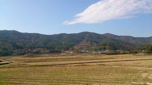 Jeolla-do republic of korea rice paddies photo