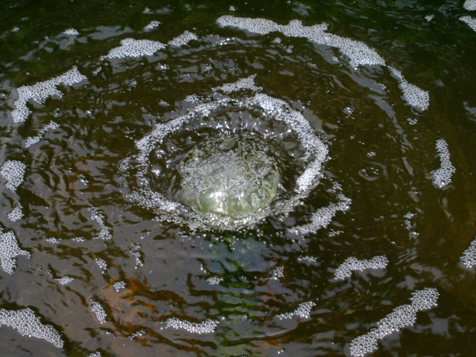 Liquid ripple circle