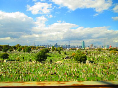 New york green