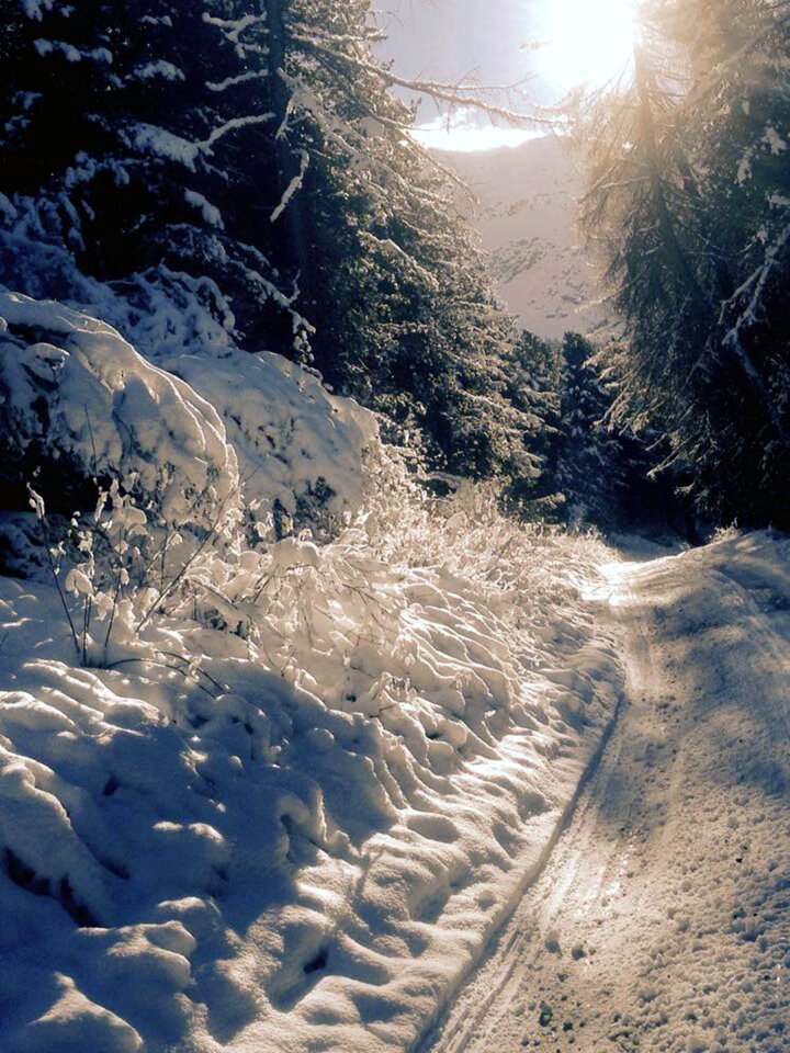 White landscape mountains