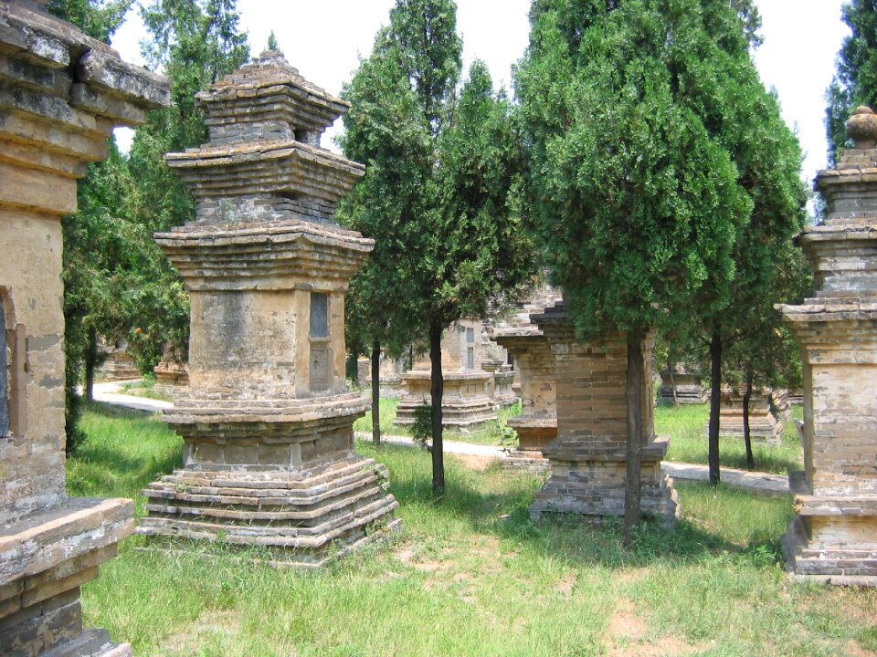 Shoalin china