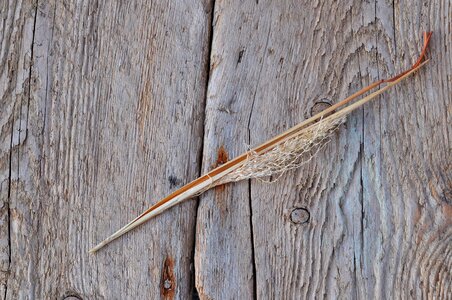 Deco wood background