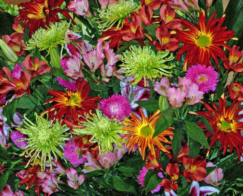 Blossom colorful detail