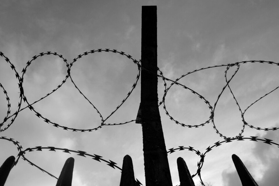 Barbed wire fence secretion