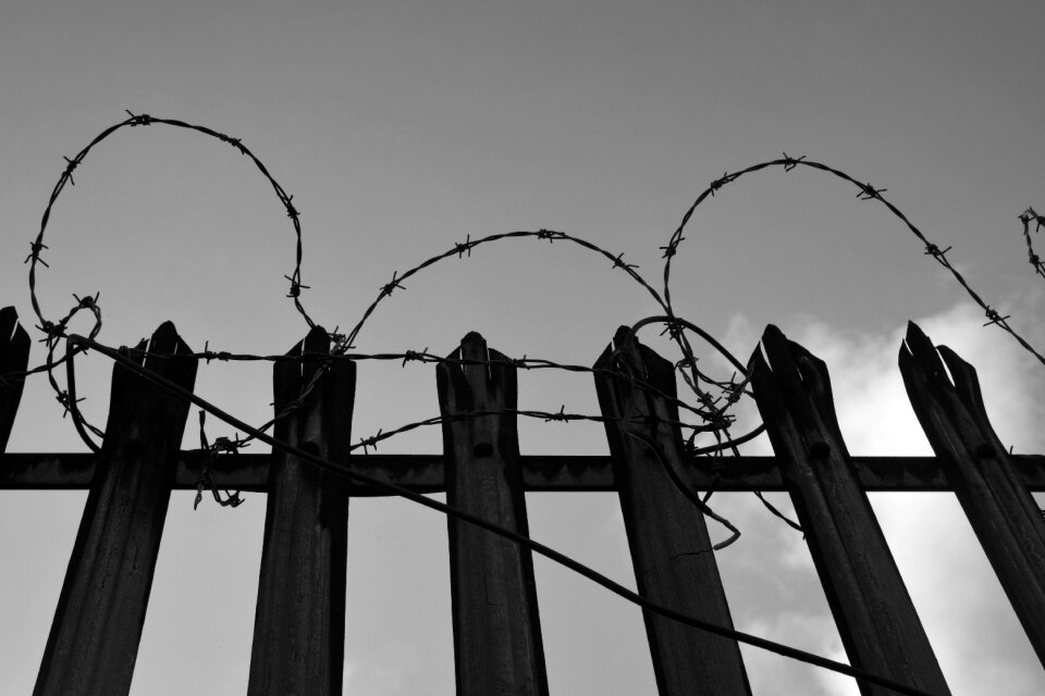 Barbed wire fence secretion