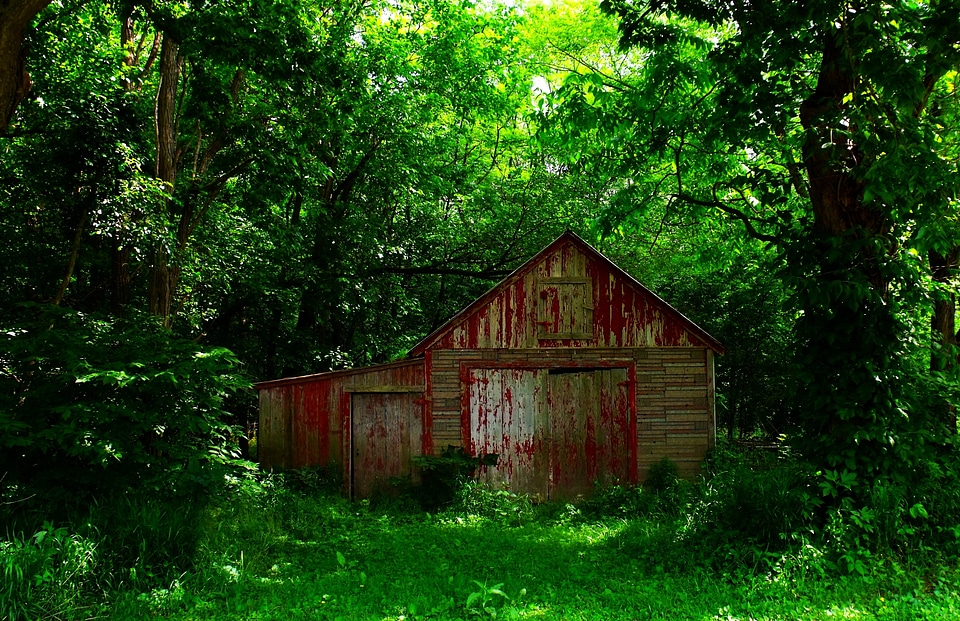 Vintage country rural
