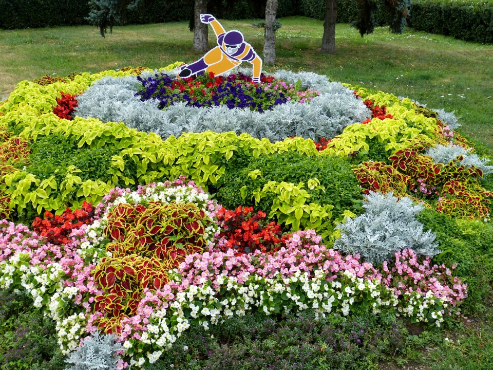 Flowers image sport