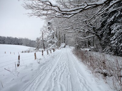 Path cold ice photo