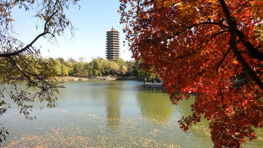 Autumn red beijing university