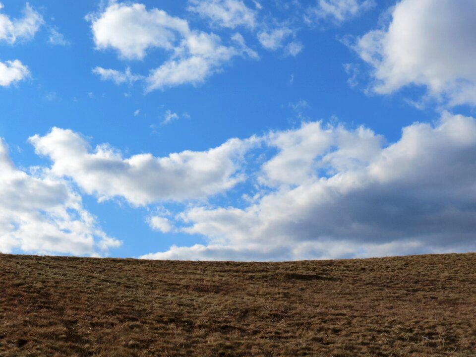 Landscape field