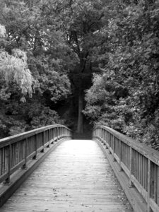 Wood away river