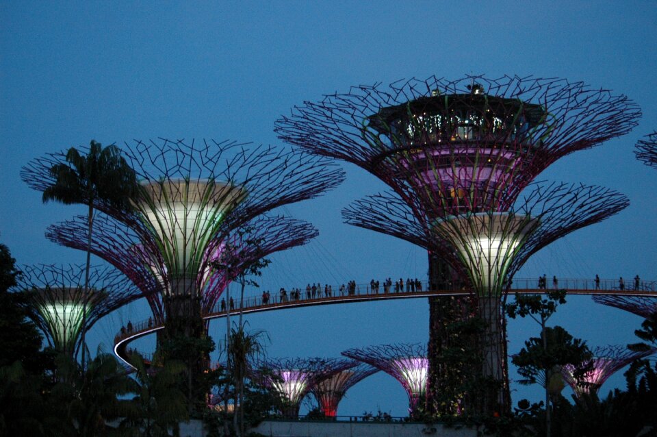 Trees park