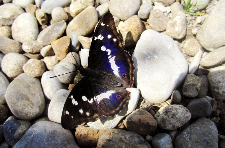 White black stones