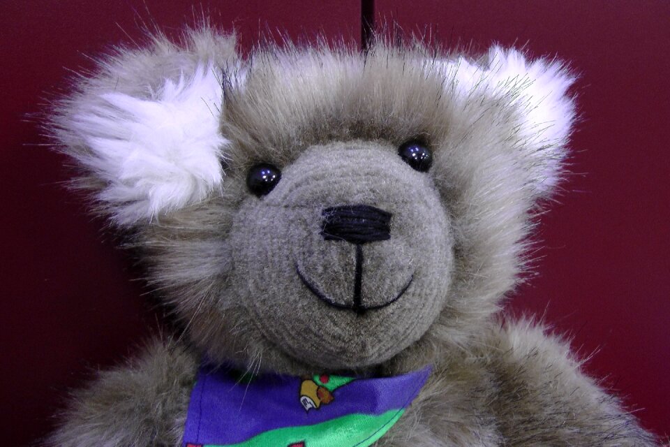 Teddy bear soft toy stuffed animal photo