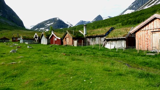 Nature agriculture goat farm