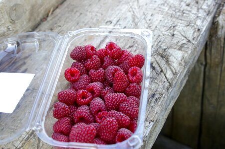 Wood ripe sweet