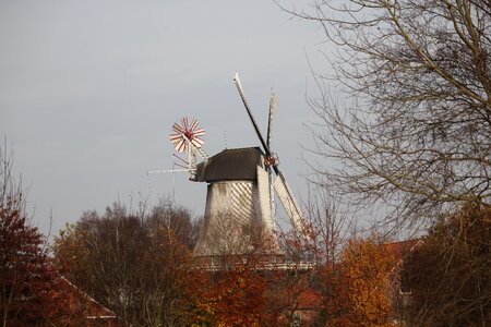 Wing building flour mill