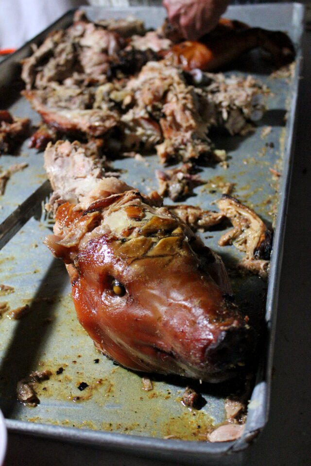 Bone cook food