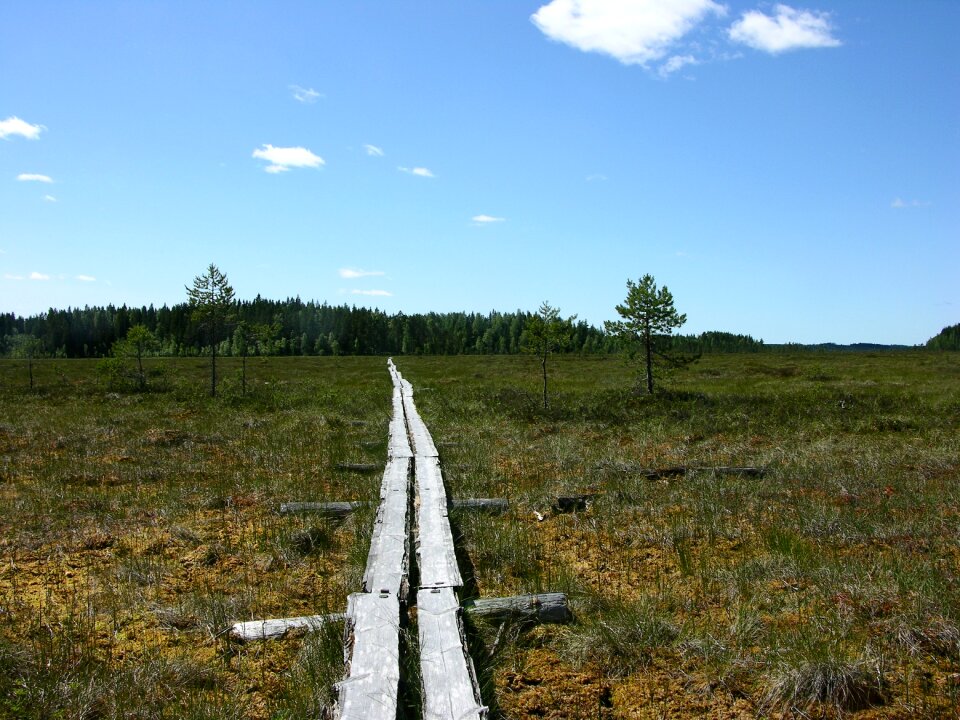 Finnish nature terrain