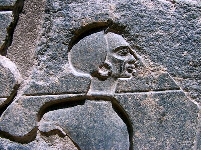 Excavation head places of interest