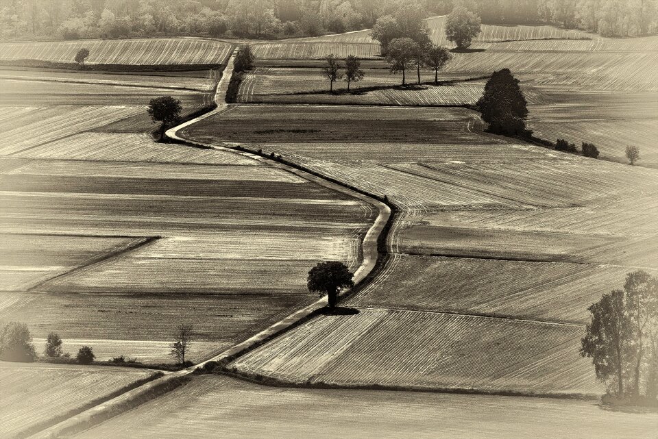 Campaign ancient lines
