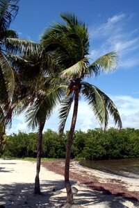 Tropical water summer