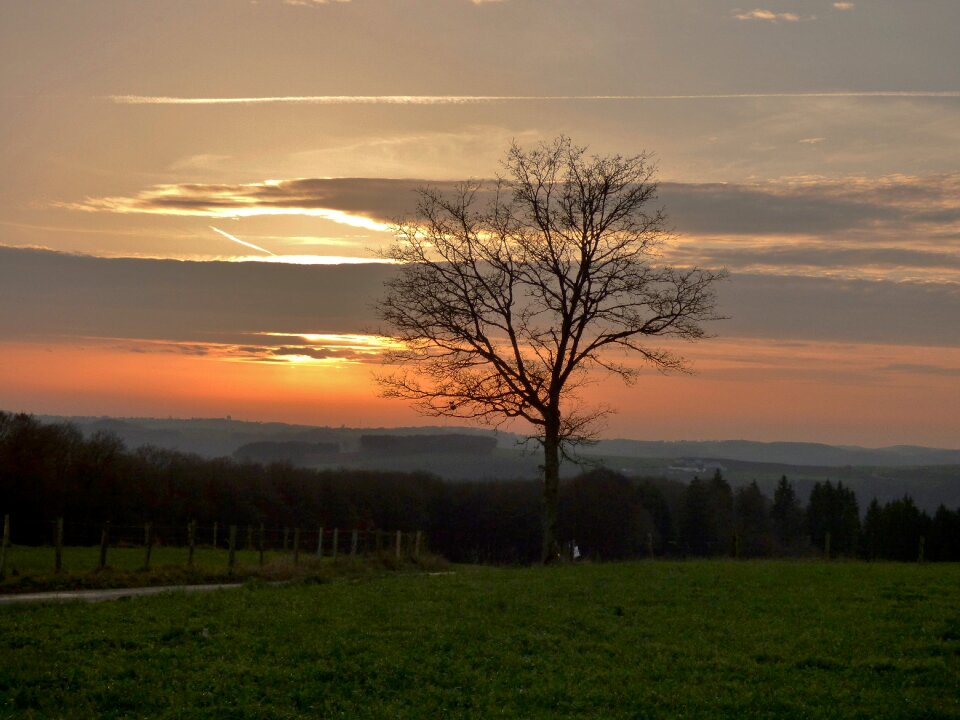 Evening sky silhouette colorful