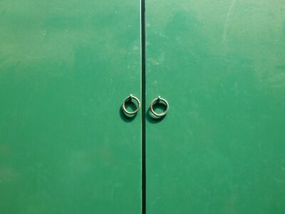 The door green door knocker