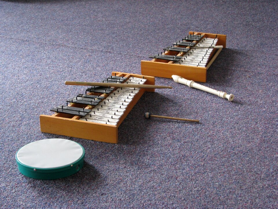 Tambourine drum musical instruments