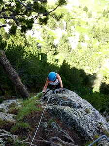 Mountain sport tree