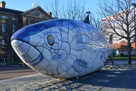 Fish work of art belfast