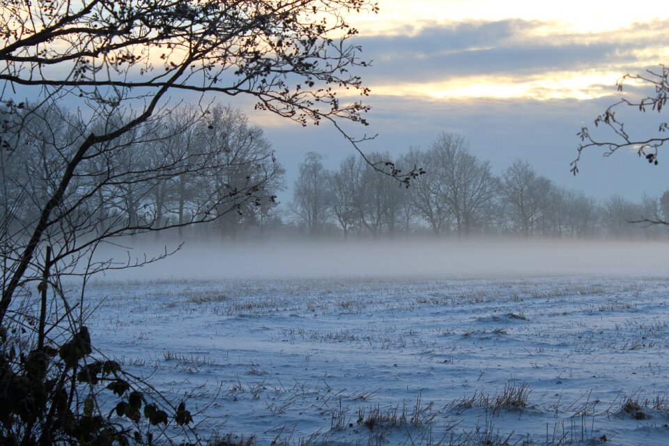 Dusk snow landscape