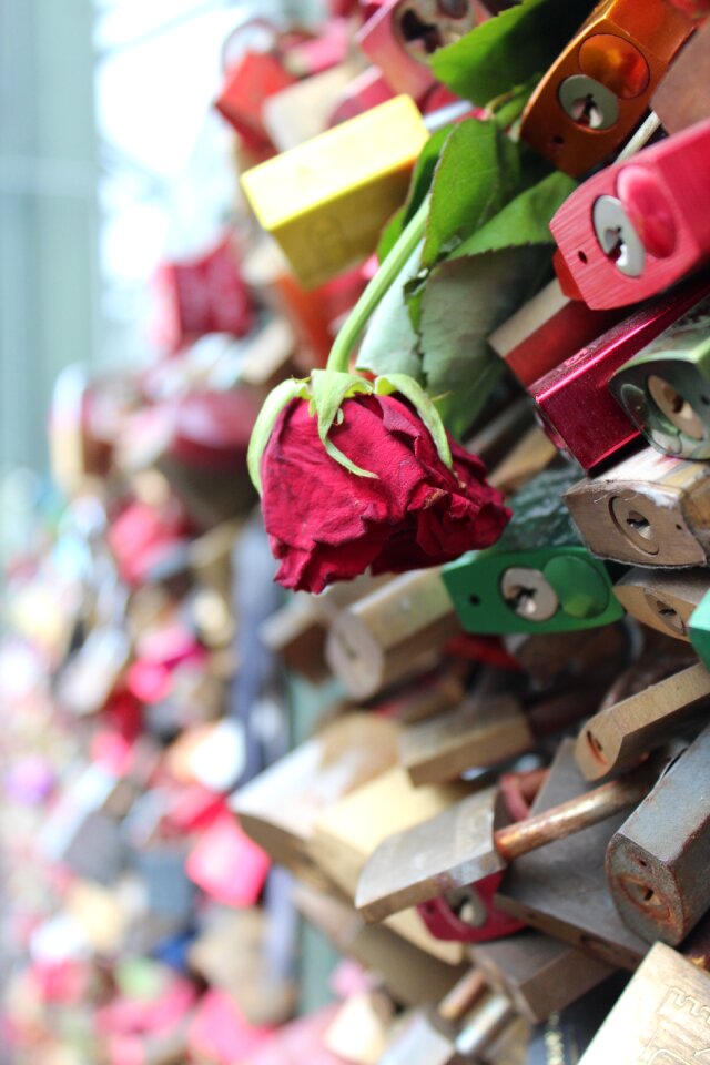 Padlocks love locks cologne