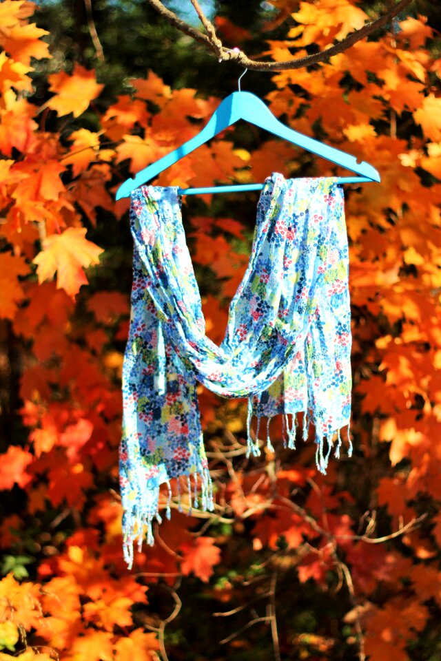 Fashion colorful