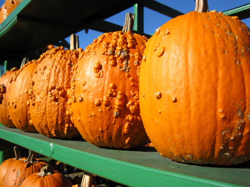 Autumn market