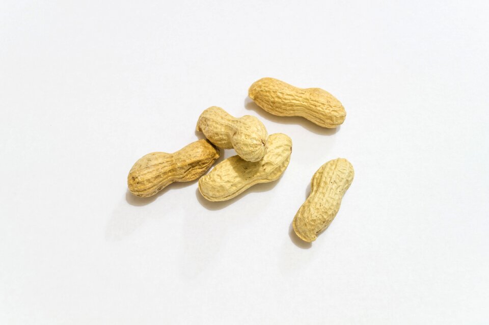 Peanuts aperitif nuts