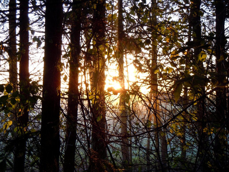 Sunbeam mood morning light
