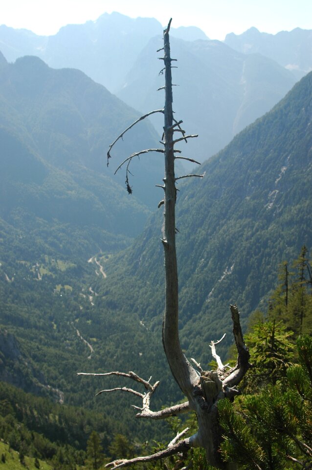 Alps landscape