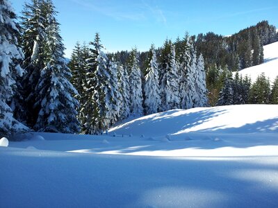 Forest snow schee shoe hikes photo