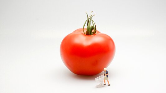 Red woman shopping photo