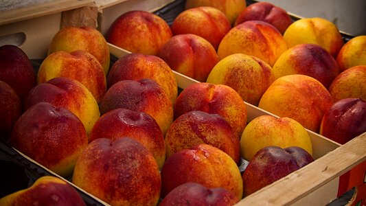 Power market red fruit