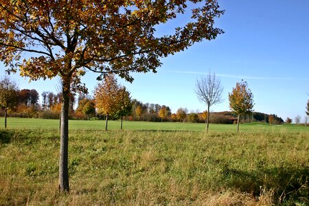 Leisure golf landscape