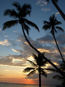 Caribbean beach sunset photo