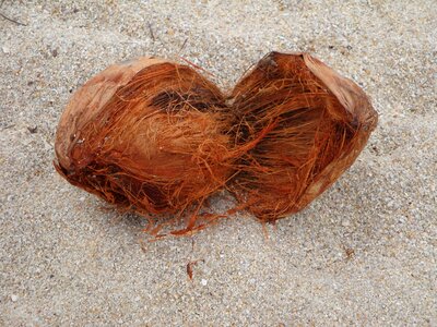 Mediterranean sand travel
