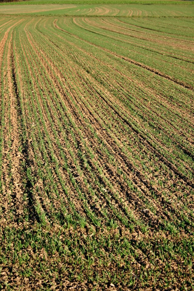 Nature agriculture environment