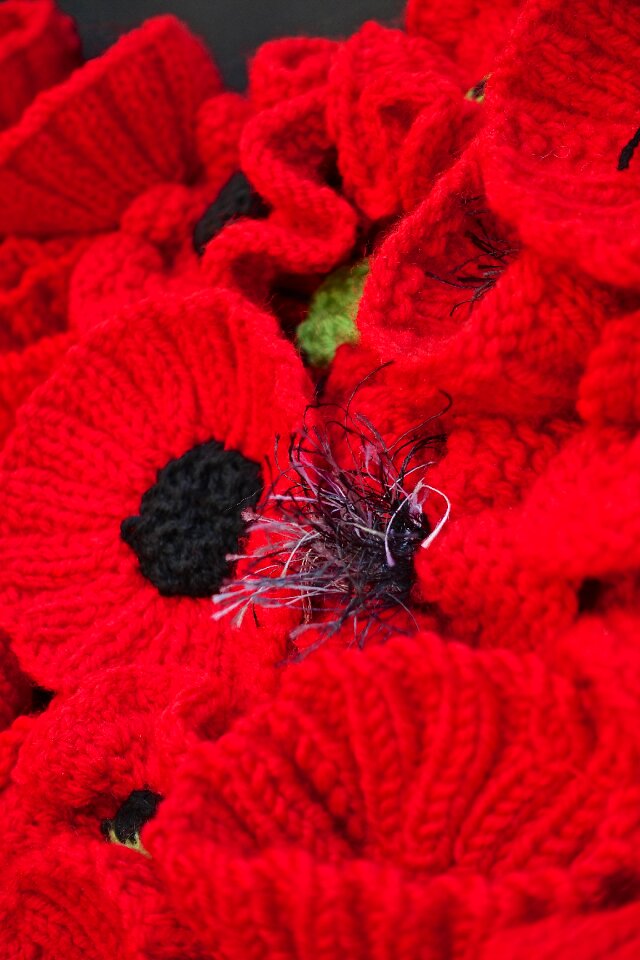 Flowers bloom knitted