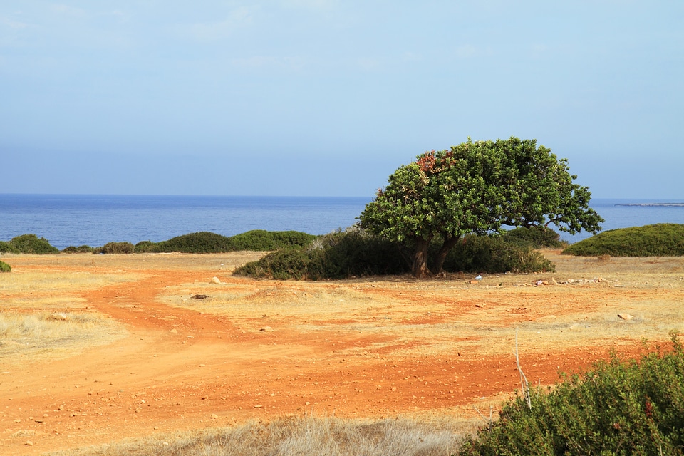 Landscape lonely nature