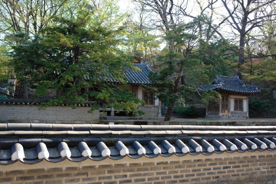 Fence houses construction