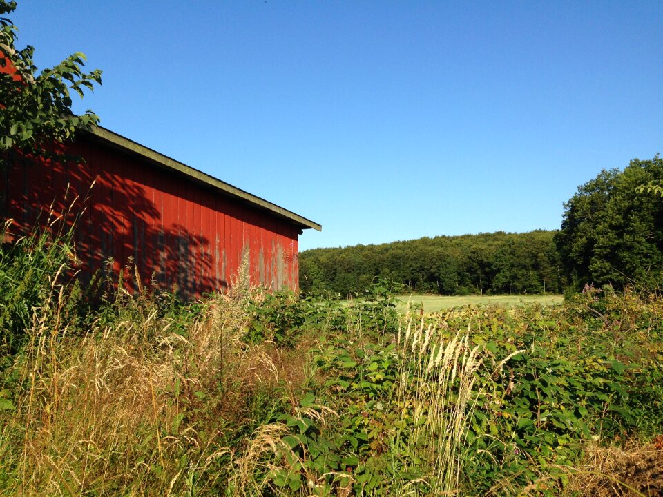 Go farmhouse summer